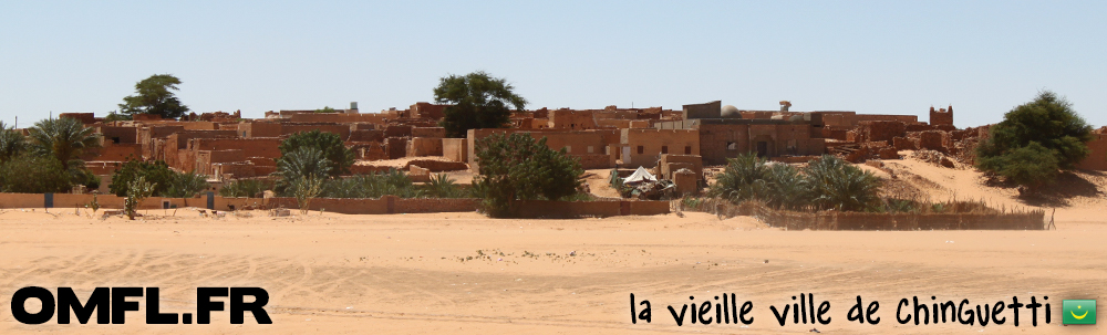 Panorama de la vieille ville de Chinguetti en Mauritanie