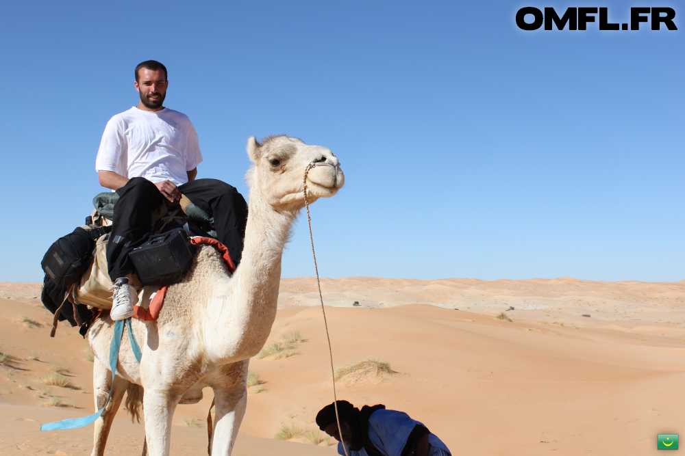 Marco épuisé sur un dromadaire dans le desert