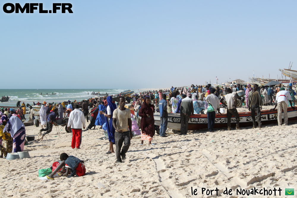La cohue du port de Nouakchott