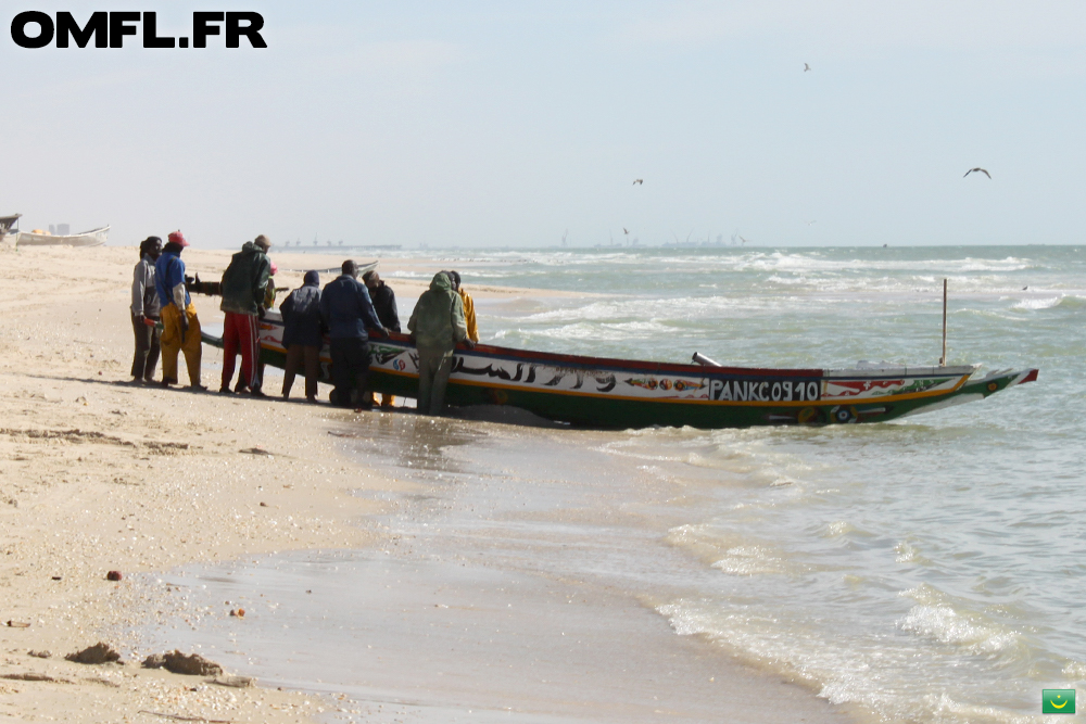 Pécheurs qui debarquent leur marchandise à Nouakchott