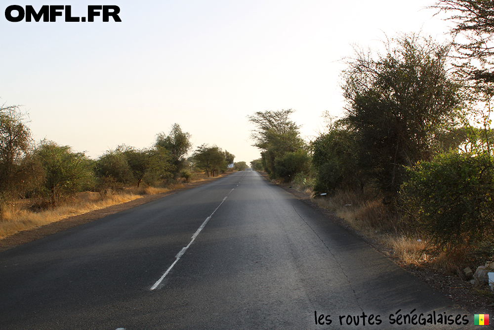 Les routes du nord du Sénégal