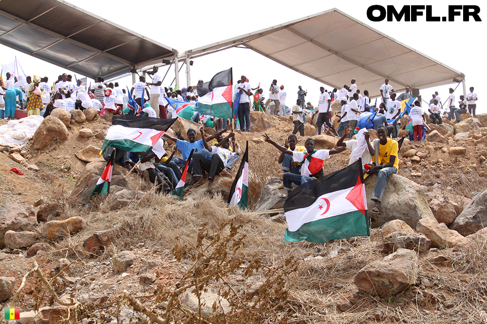 Des sénégalais payés pour brandir le drapeau du Sahara Occidental