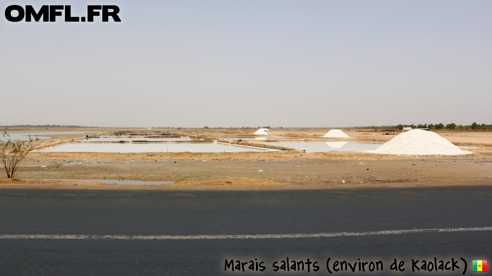 Un marais salant dans les environs de Kaolack