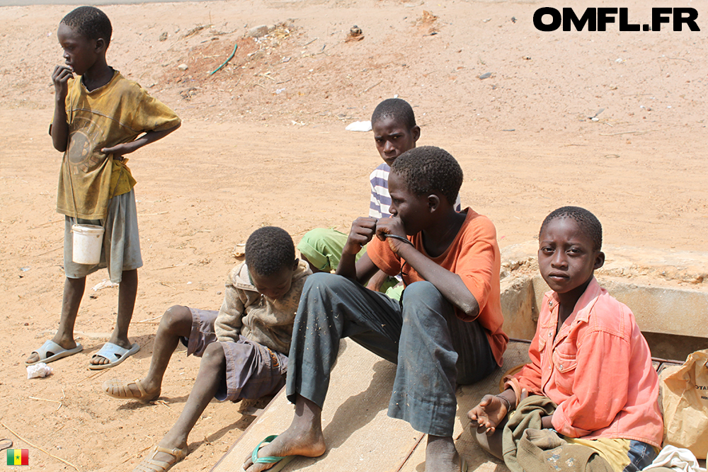 Des talibés ou enfants de la rue à Mbour