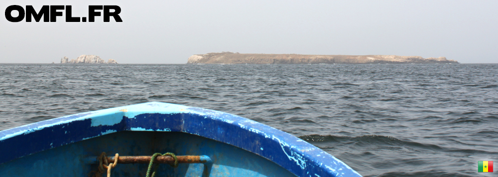 Vue des iles du parc de la Madeleine vue du bateau