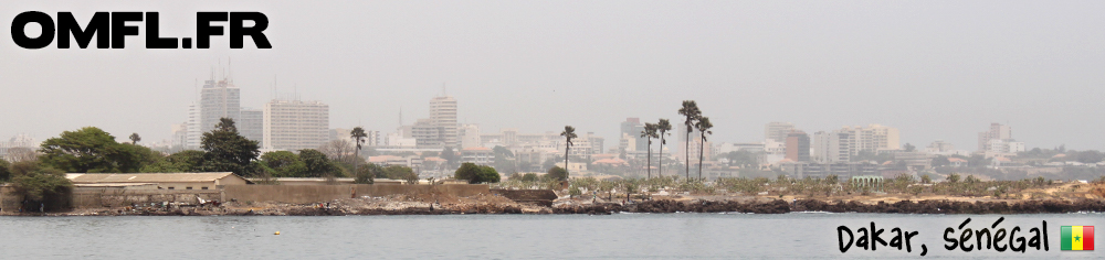 Panorama de Dakar vue de l'ile aux serpents
