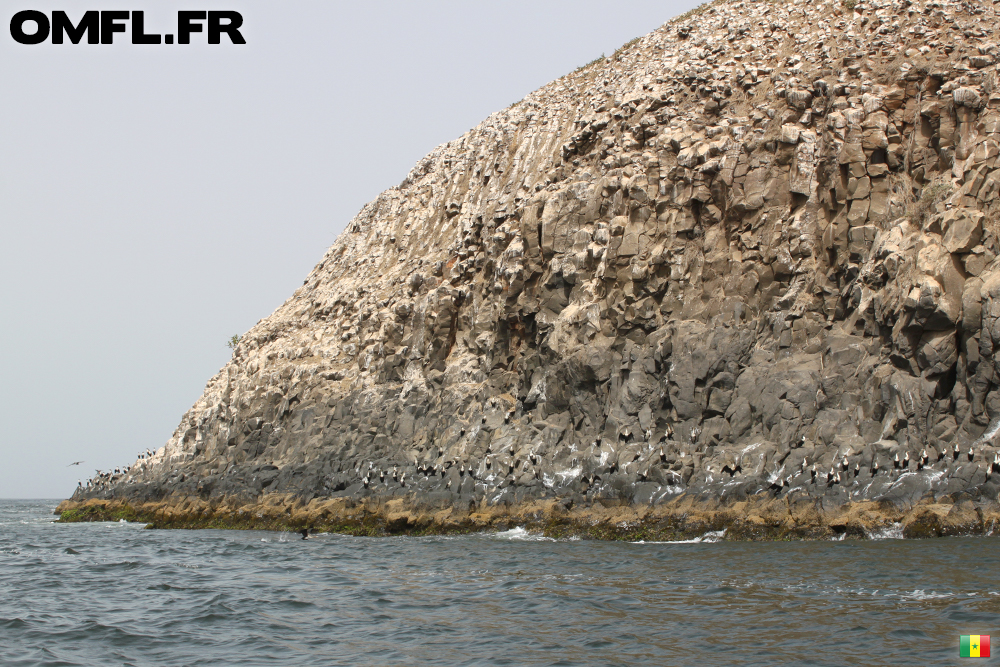 Falaise de l'ile aux serpents