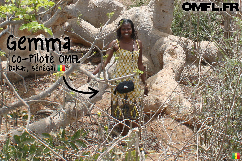 Gemma dans les tentacules d'un baobab nain