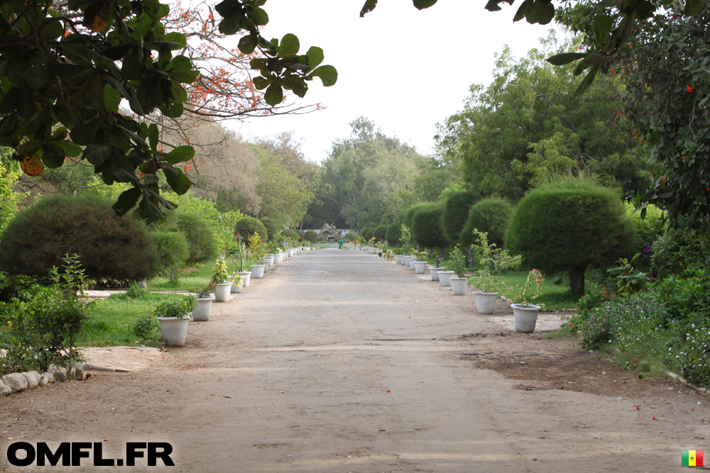 L'allée centrale du Parc Hann à Dakar