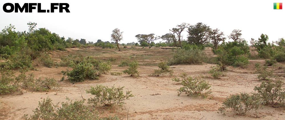 Panorama de la brousse vers Farako