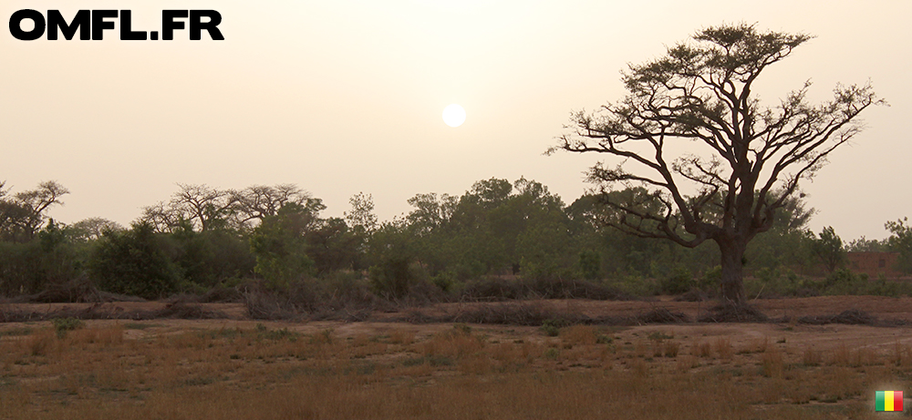 Le soleil se couche sur la brousse