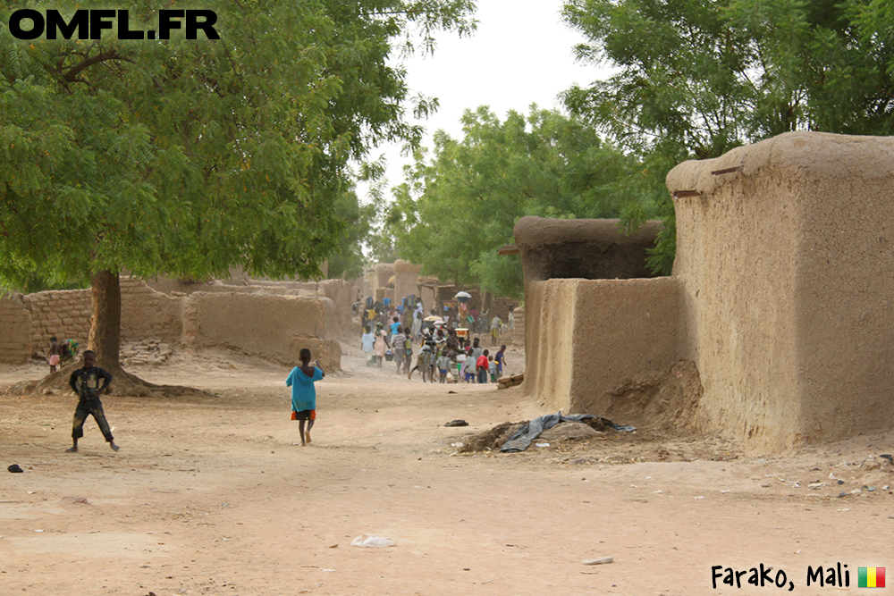 Une foule à Farako