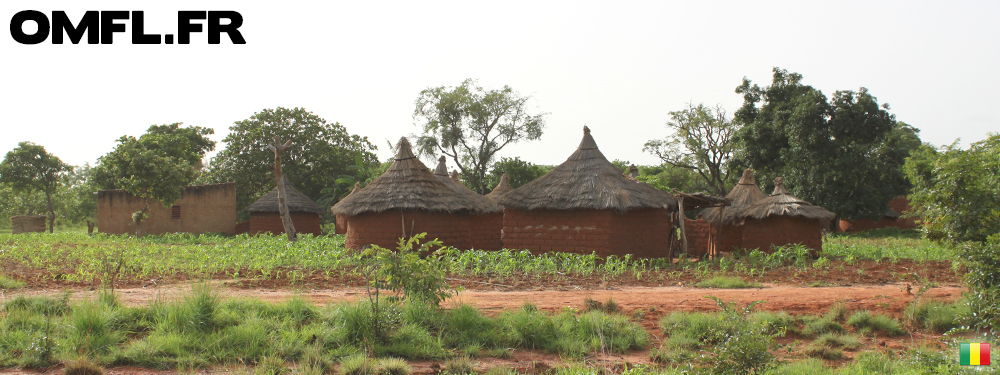 Un village malien