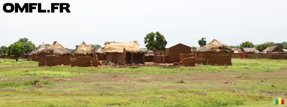 Un village malien
