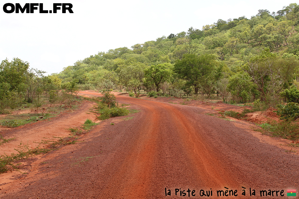 La piste qui mmène à la mare aux hippopotames