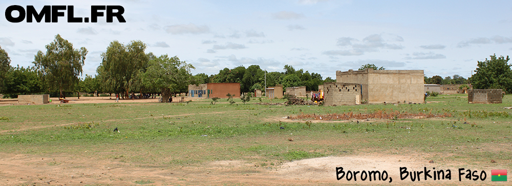 Une case dans le village de Boromo