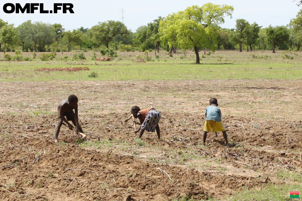 Des enfants qui travaillent la terre au Burkina Faso