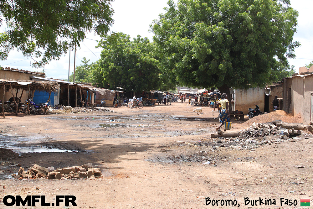 Une rue de Boromo