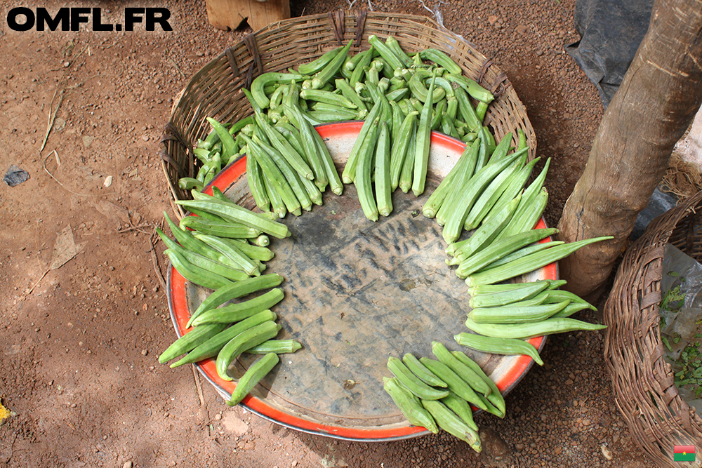 Un plateau de gombos au marché de Boromo