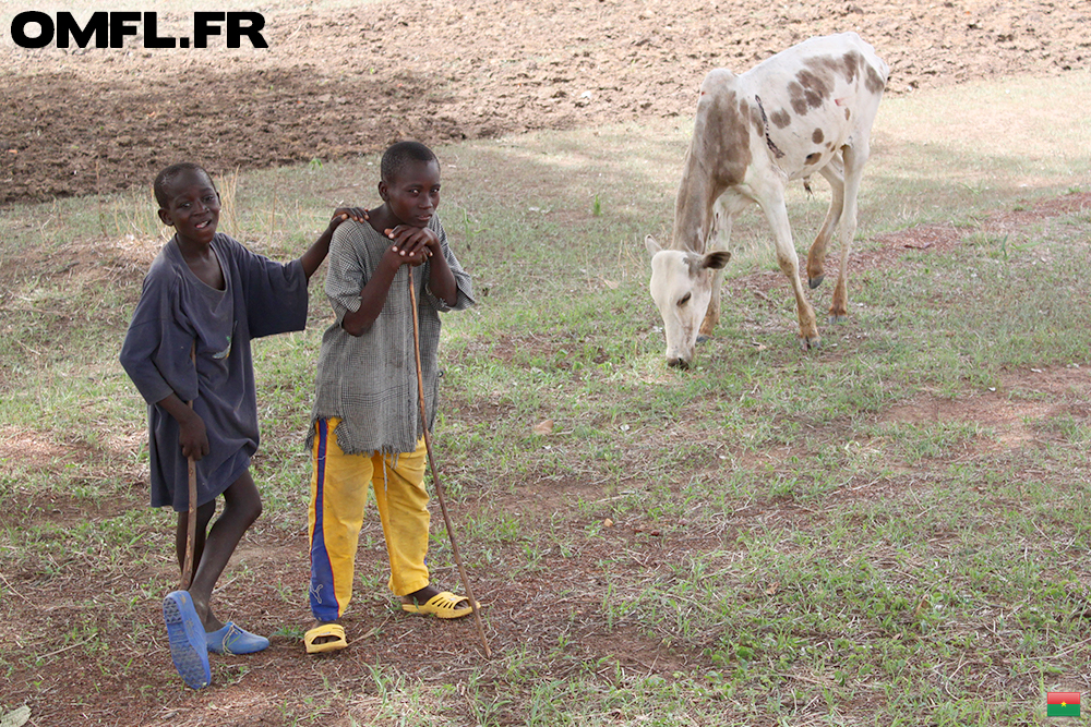 Deux enfants bergers avec leurs vaches