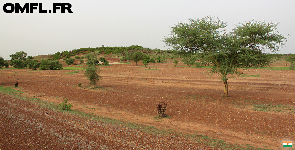 Un paysage du Niger