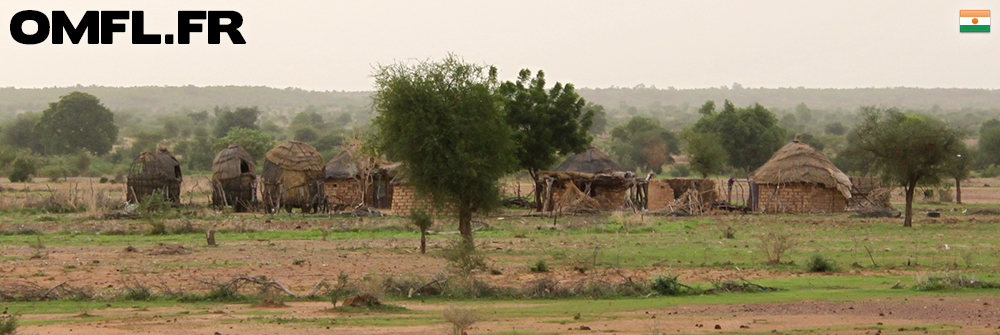 Un village sur le bord de la route au Niger