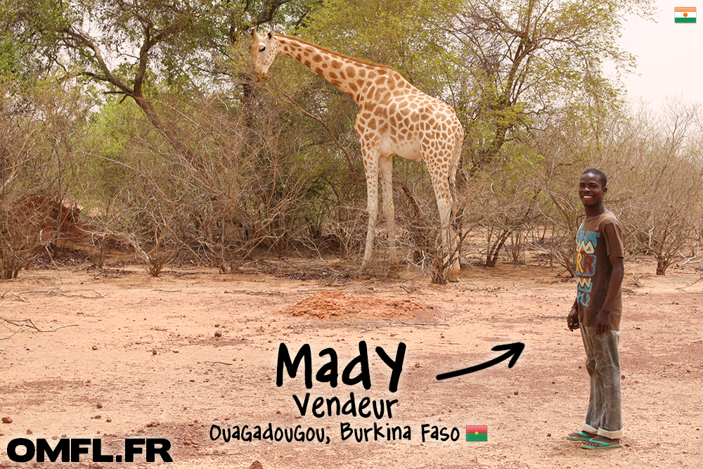 Mady pose avec une girafe à Kouré