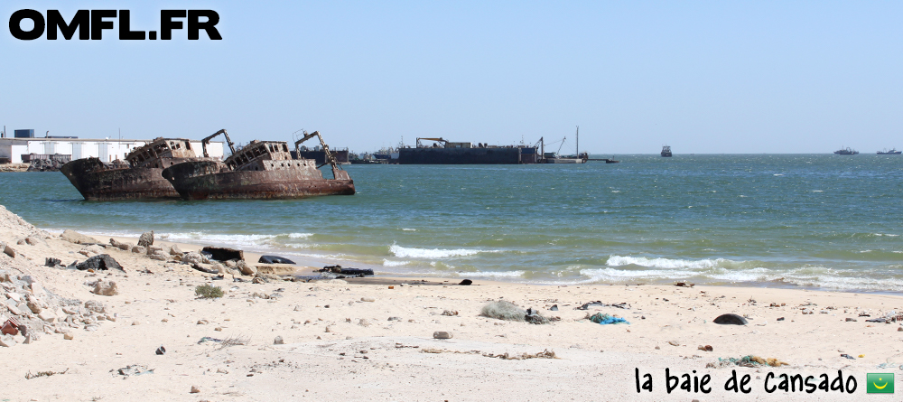 Navires échoués dans la baie de Cansado en Mauritanie