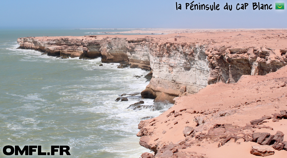 Falaise du Cap blanc en Mauritanie